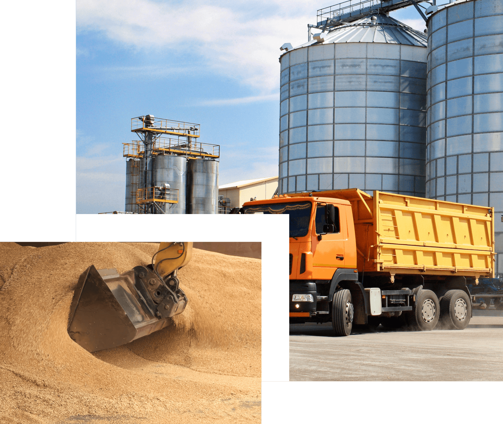 What does Terra-Impex Agro do?